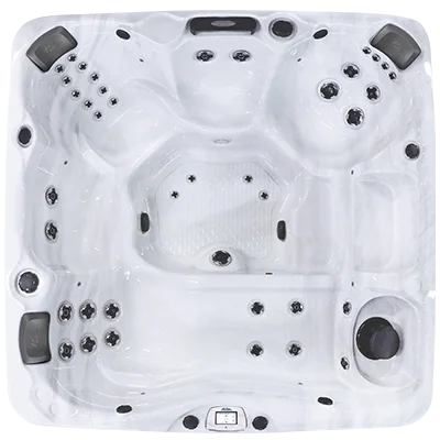 Avalon-X EC-840LX hot tubs for sale in Hammond