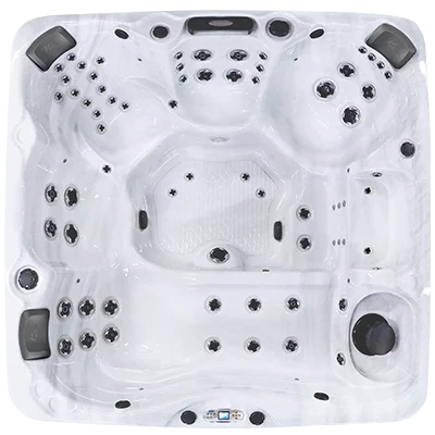 Avalon EC-867L hot tubs for sale in Hammond