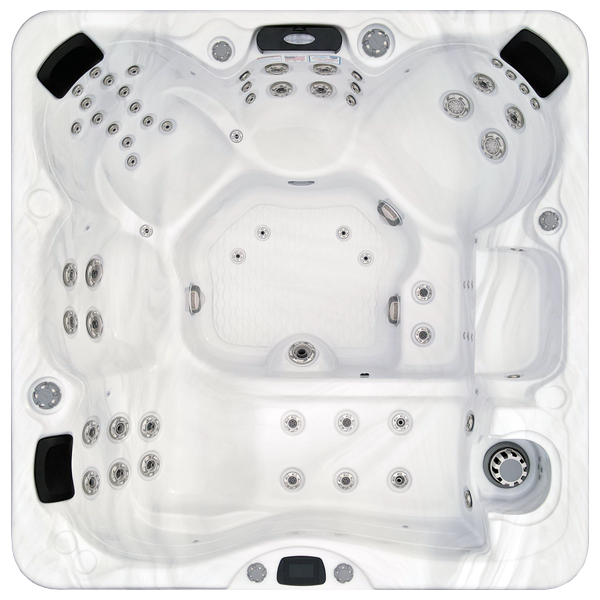 Avalon-X EC-867LX hot tubs for sale in Hammond